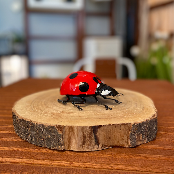 Coccinelle métal
