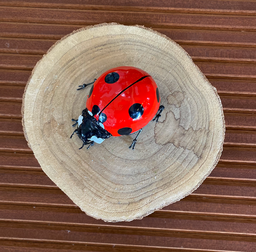 Coccinelle métal